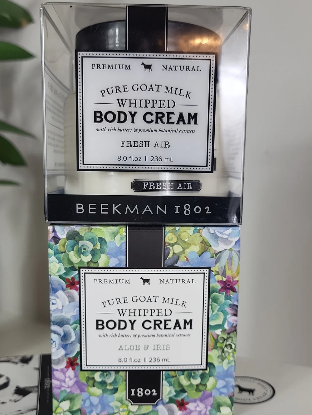 Beekman 1802 beekman 1802